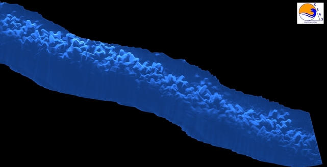 ACCROPODE™II , ACCROPODE , ACCROPODE pose , ACCROPODE placement , ACCROPODE expertise , ACCROPODE certification