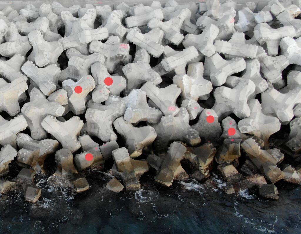 Blocs de carapace cassés sur la digue de la NRL