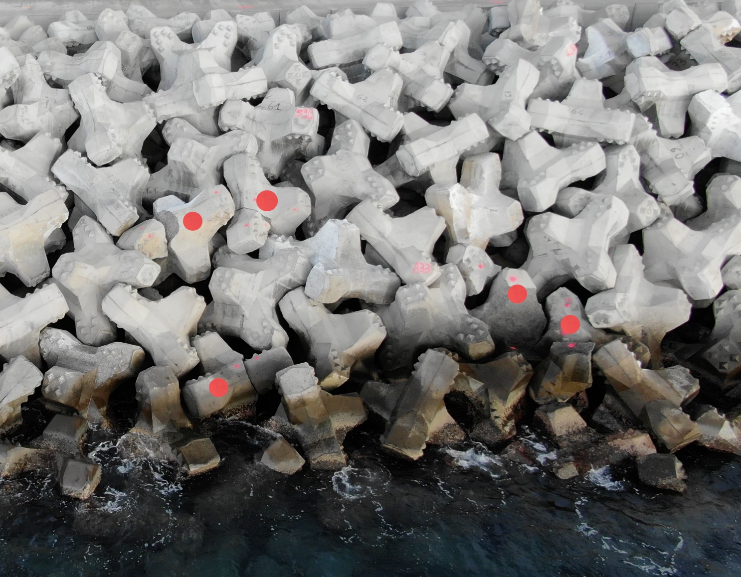 Blocs de carapace cassés sur la digue de la NRL