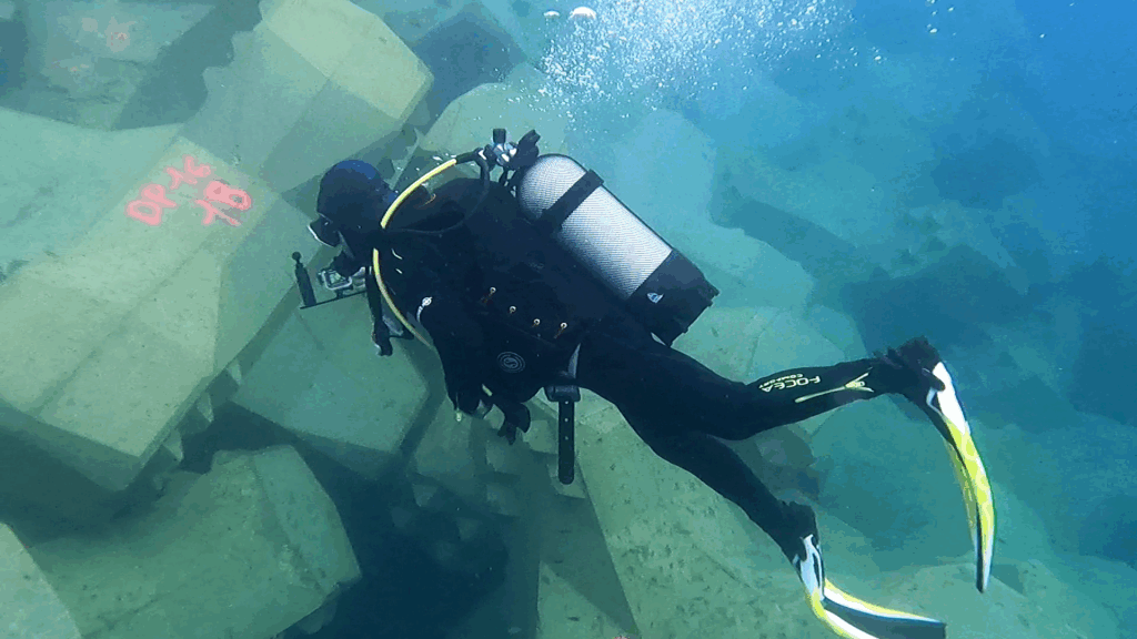 inspection de la carapace en blocs monocouche de la digue du mole genois a bastia par les insecteur clas