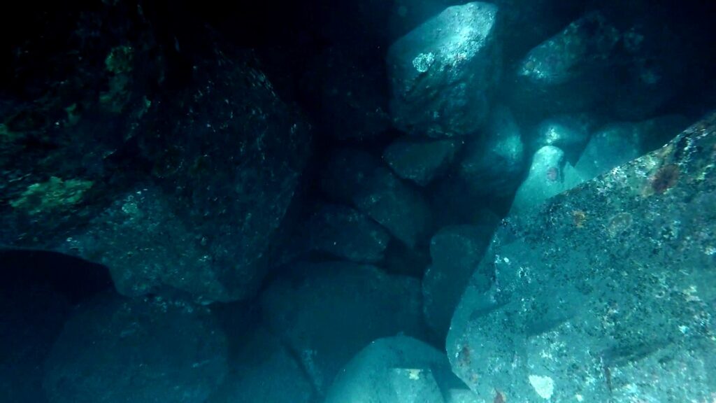 Aération dans la carapace monocouche exposant la sous-couche, créant un risque d’extraction des matériaux et de démaillage progressif de l’ouvrage.