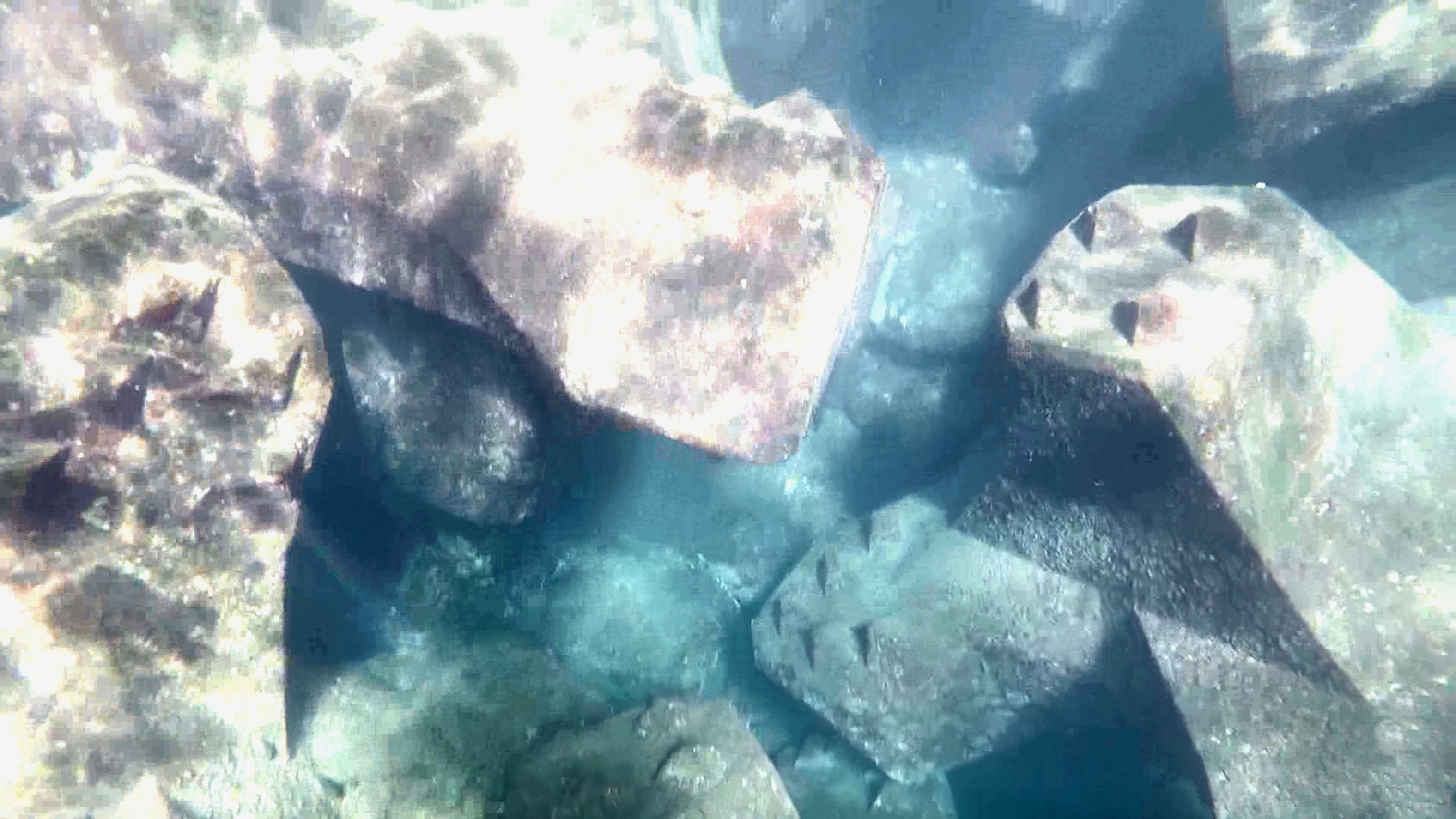 Défaut d’imbrication sur une carapace monocouche en blocs artificiels, avec appuis insuffisants entre blocs et risque de mouvement sous l’action de la houle.