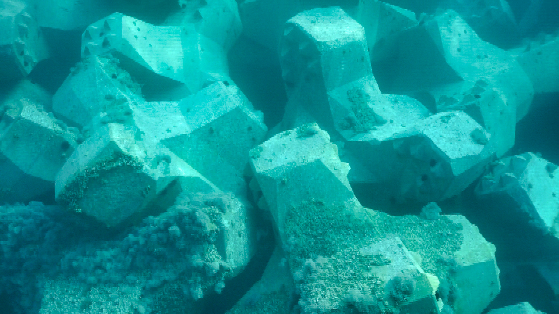 Vue sous-marine de la carapace en blocs artificiels montrant l’imbrication des unités et leur disposition sur la digue.