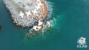 Début de la pose des blocs BS2 dans le musoir de la digue d’Argelès