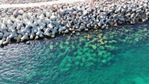 Vue de la carapace monocouche en blocs BS2 sur la digue d’Argelès