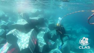 Plongeurs CLAS vérifiant sous l’eau les blocs BS1 posés par l’équipe NATALI à L’Île-Rousse