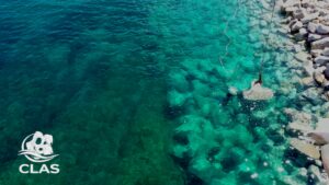 Pose des blocs BS1 par l’équipe NATALI et contrôle sous-marin par les plongeurs CLAS à L’Île-Rousse
