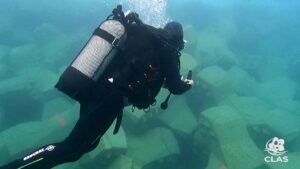 Plongeur CLAS réalisant un contrôle vidéo de la carapace ACCROPODE™II à Bastia