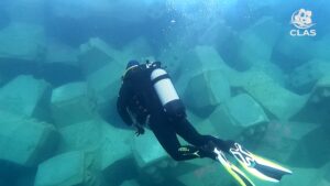 Plongeur CLAS inspectant la carapace ACCROPODE™II de Bastia dans le cadre de sa certification